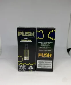 Push 1g Disposable