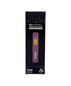 Push 2g Disposable